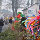 zdjęcie nr 362