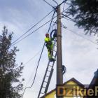 zdjęcie nr 9