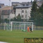 zdjęcie nr 10