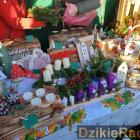 zdjęcie nr 10
