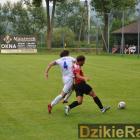 Fotka nr 3 z 41