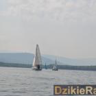 zdjęcie nr 83