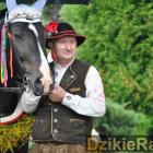 zdjęcie nr 15