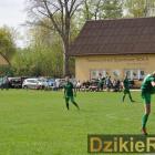 zdjęcie nr 65