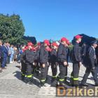 zdjęcie nr 73
