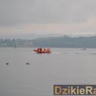 Fotka nr 1 z 293