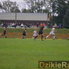 zdjęcie nr 31