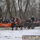 zdjęcie nr 100