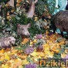 zdjęcie nr 75