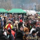 zdjęcie nr 33