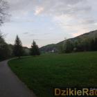 Fotka nr 5 z 10