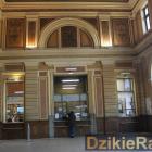 zdjęcie nr 8