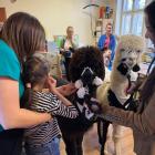 Fot. FUNDACJA POMOCY DZIECIOM W ŻYWCU 