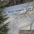 Fotka nr 0 z 7
