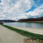 Fotka nr 5 z 10