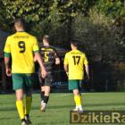 zdjęcie nr 176