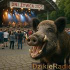 Fotka nr 0 z 1