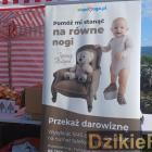 zdjęcie nr 56