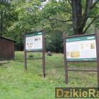zdjęcie nr 50