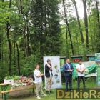 zdjęcie nr 17