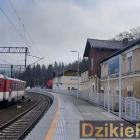 zdjęcie nr 9
