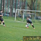 zdjęcie nr 39