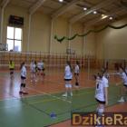 Fotka nr 4 z 58