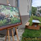 zdjęcie nr 146