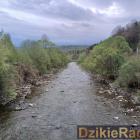 Fotka nr 3 z 10