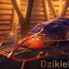 zdjęcie nr 7