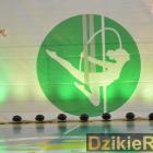 zdjęcie nr 155