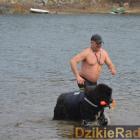 zdjęcie nr 42
