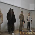 zdjęcie nr 173