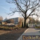 zdjęcie nr 44