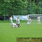 zdjęcie nr 87