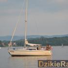 zdjęcie nr 136