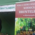zdjęcie nr 22