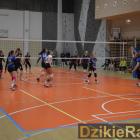 zdjęcie nr 10