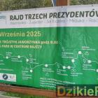 zdjęcie nr 158