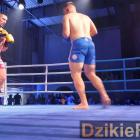 zdjęcie nr 355