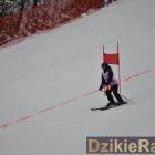 zdjęcie nr 43