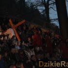 zdjęcie nr 28