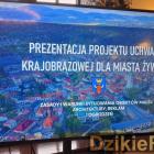 Fotka nr 5 z 6