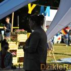 zdjęcie nr 34
