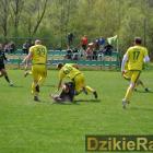 zdjęcie nr 33