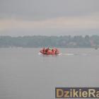 Fotka nr 2 z 293