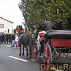 zdjęcie nr 256