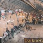 Fot. Grupa Beskidzka GOPR 
