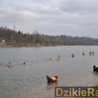 zdjęcie nr 79