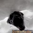 Fot. GOPR Karkonosze 